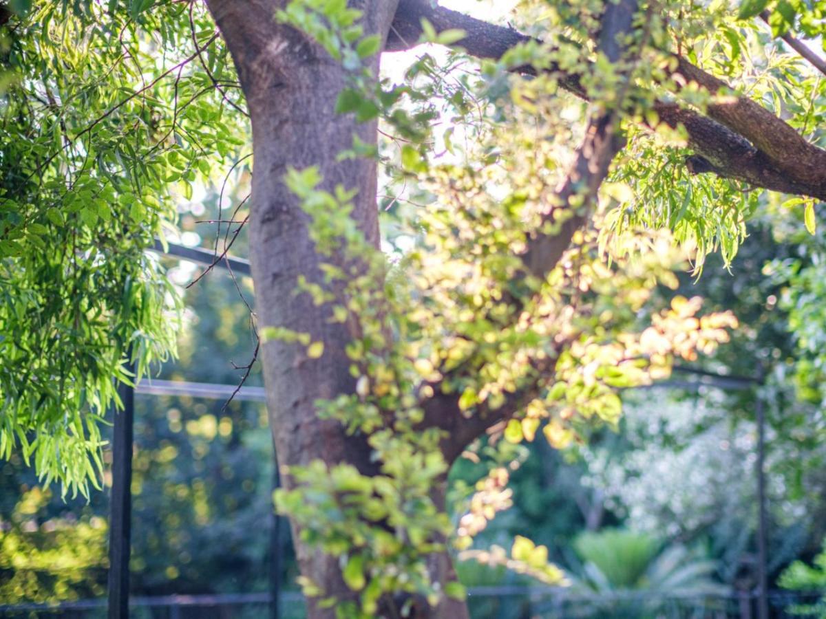 Hurlingham House Guest House 요하네스버그 외부 사진